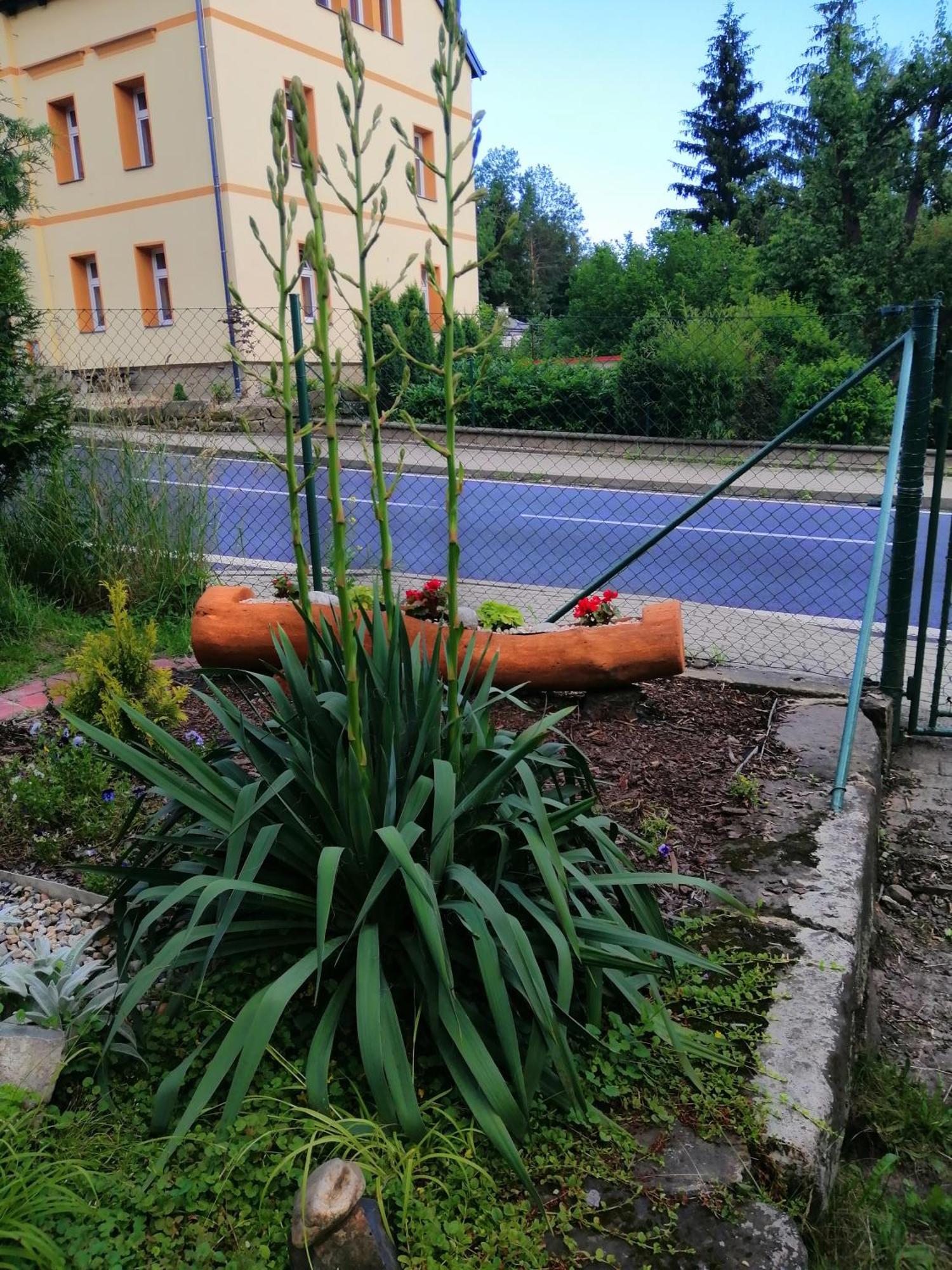Penzion Jura Chribska Exterior photo